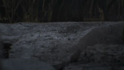Once_Upon_A_Time_-_S01E02_28754429.jpg