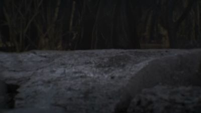 Once_Upon_A_Time_-_S01E02_28754529.jpg