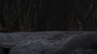 Once_Upon_A_Time_-_S01E02_28754629.jpg