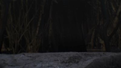 Once_Upon_A_Time_-_S01E02_28754729.jpg