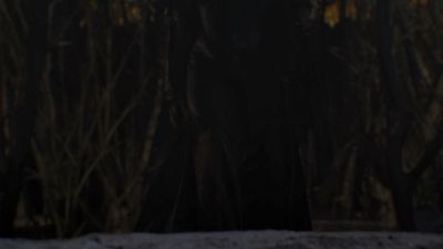 Once_Upon_A_Time_-_S01E02_28754829.jpg