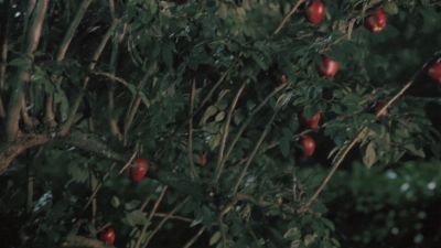 Once_Upon_A_Time_-_S01E02_28765829.jpg