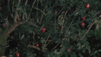 Once_Upon_A_Time_-_S01E02_28765929.jpg