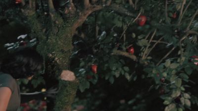 Once_Upon_A_Time_-_S01E02_28766129.jpg
