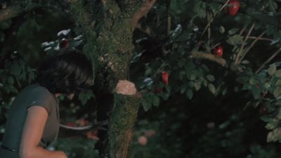 Once_Upon_A_Time_-_S01E02_28766229.jpg