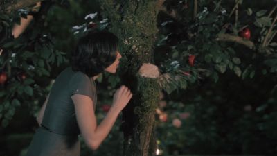 Once_Upon_A_Time_-_S01E02_28766429.jpg