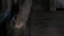 Once_Upon_A_Time_-_S01E02_28145529.jpg