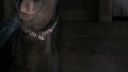 Once_Upon_A_Time_-_S01E02_28145629.jpg