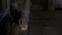Once_Upon_A_Time_-_S01E02_28145729.jpg