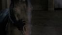 Once_Upon_A_Time_-_S01E02_28145829.jpg