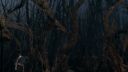 Once_Upon_A_Time_-_S01E02_28186829.jpg