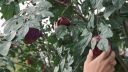 Once_Upon_A_Time_-_S01E02_28216629.jpg