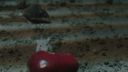 Once_Upon_A_Time_-_S01E02_28441329.jpg