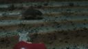 Once_Upon_A_Time_-_S01E02_28441429.jpg