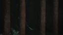Once_Upon_A_Time_-_S01E02_28442729.jpg