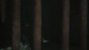 Once_Upon_A_Time_-_S01E02_28442829.jpg