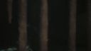 Once_Upon_A_Time_-_S01E02_28442929.jpg