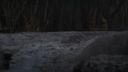 Once_Upon_A_Time_-_S01E02_28754529.jpg
