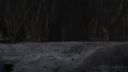 Once_Upon_A_Time_-_S01E02_28754629.jpg