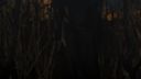 Once_Upon_A_Time_-_S01E02_28754929.jpg
